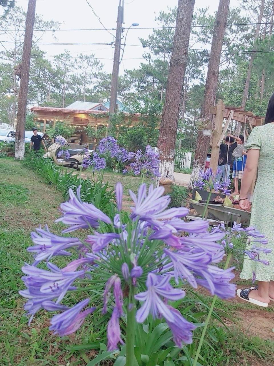 S'Nghe Homestay Mang Den Kon Von Kla Extérieur photo