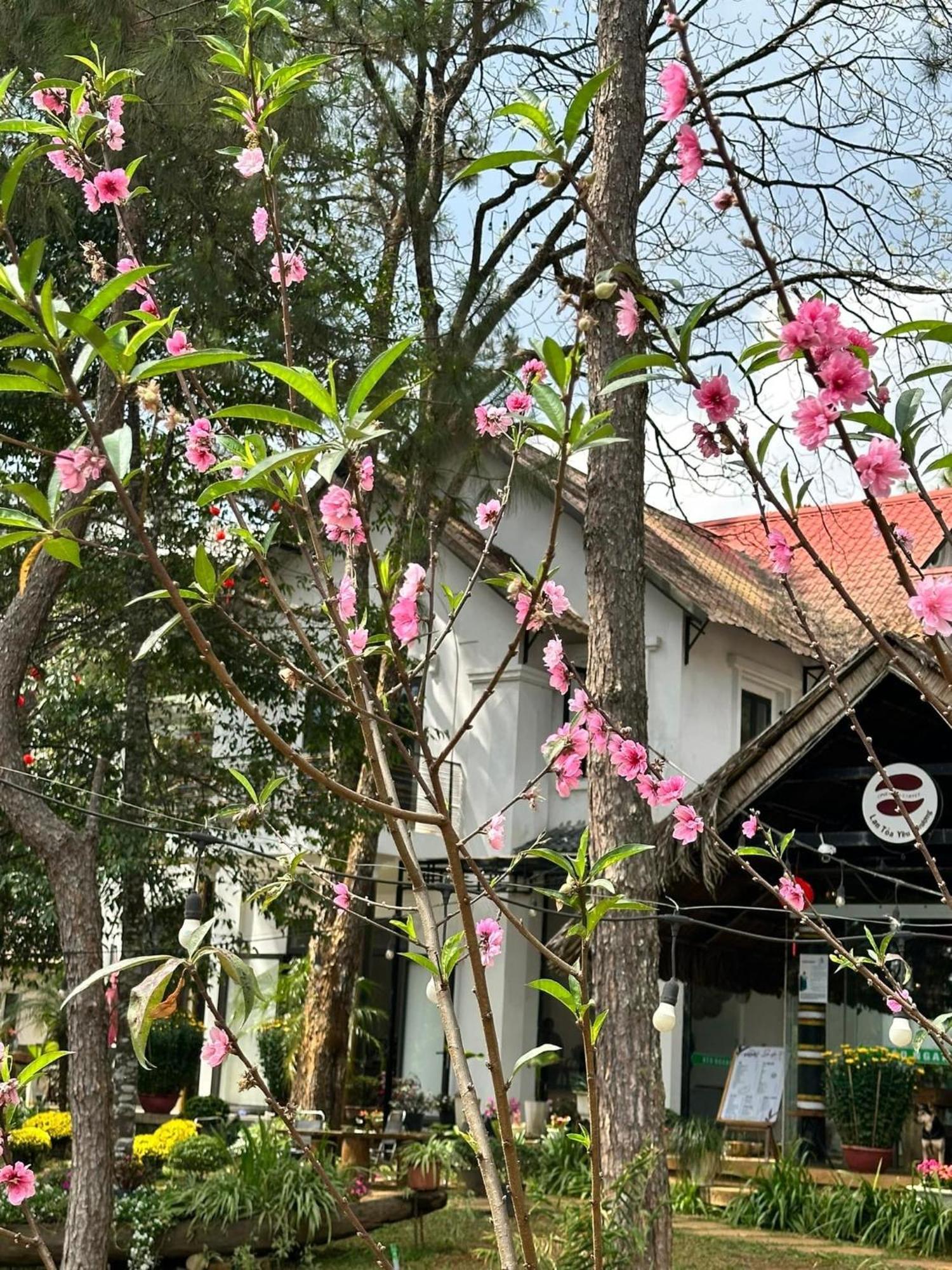 S'Nghe Homestay Mang Den Kon Von Kla Extérieur photo