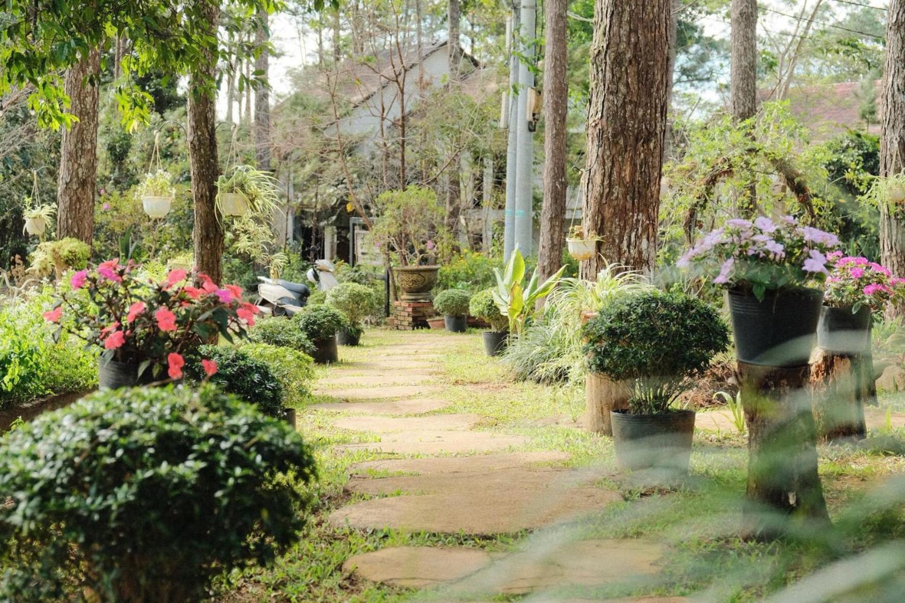 S'Nghe Homestay Mang Den Kon Von Kla Extérieur photo