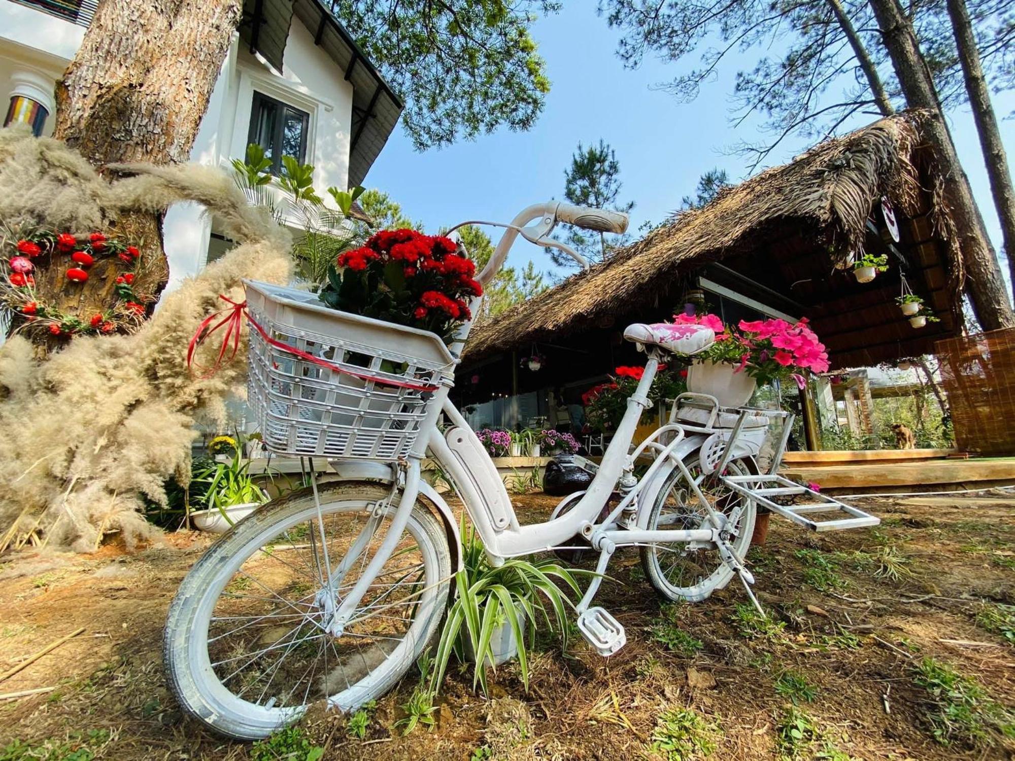 S'Nghe Homestay Mang Den Kon Von Kla Extérieur photo